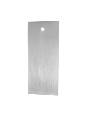 Silver Anode