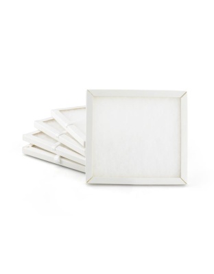 Polyester Filter for Polisher Protector