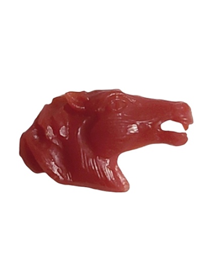 CabeÃƒÂ§a Cavalo