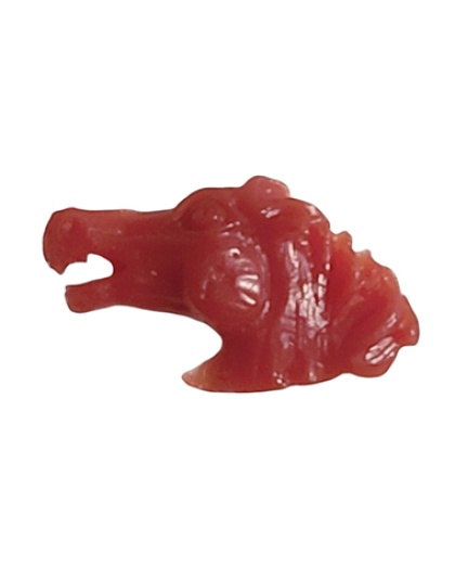 CabeÃƒÂ§a Cavalo