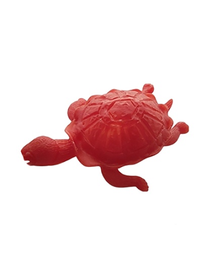 Tartaruga
