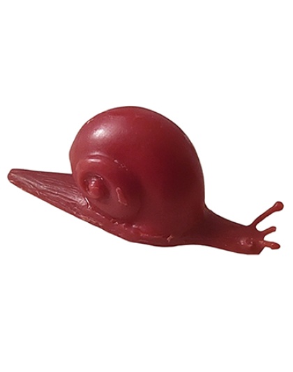 Caracol