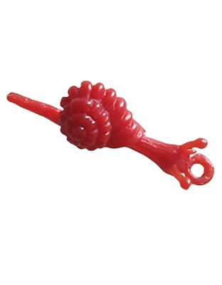 Snail