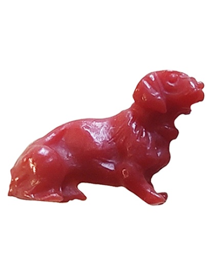 Dachshund