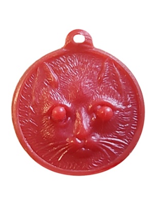CabeÃƒÂ§a Gato
