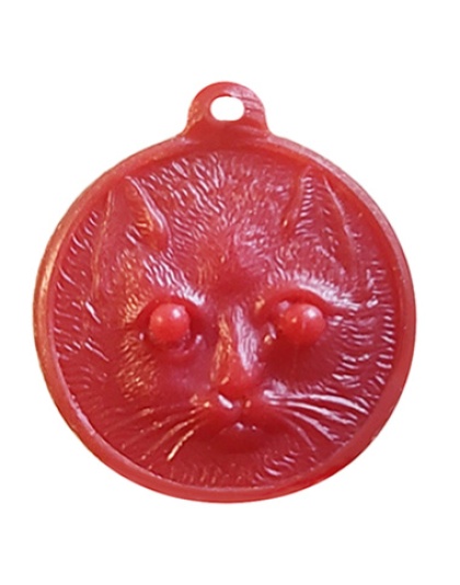 CabeÃƒÂ§a Gato