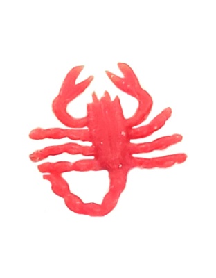 EscorpiÃƒÂ£o