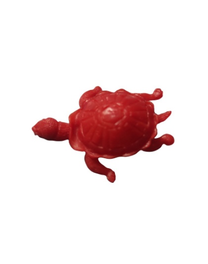 Tartaruga Fechada