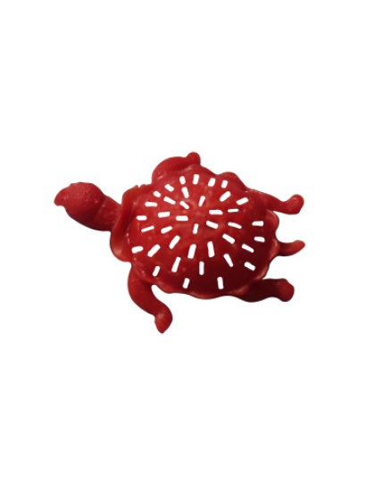 Tartaruga Perfurada