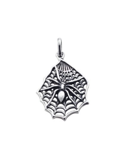 Aranha com Teia