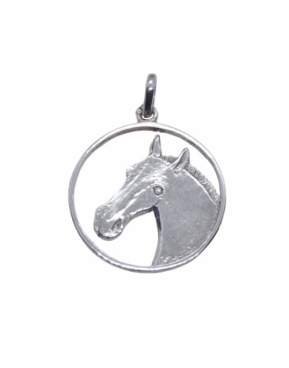 CabeÃƒÂ§a Cavalo