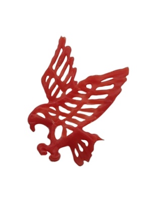 ÃƒÂguia