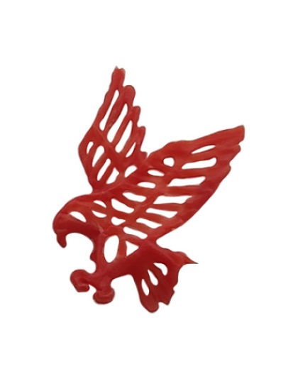 ÃƒÂguia