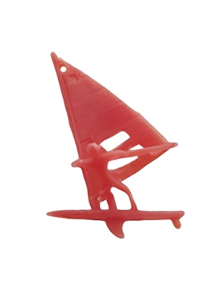 Windsurfer