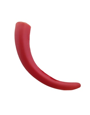 Big Horn
