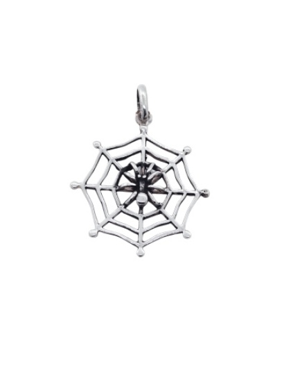 Teia com Aranha