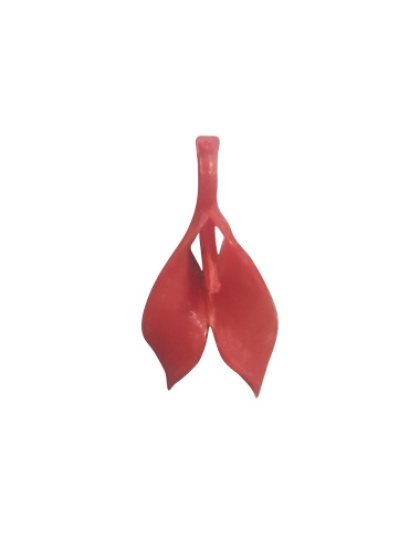 Folhas com PÃƒÂ©rola
