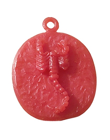 Scorpio Zodiac Sign