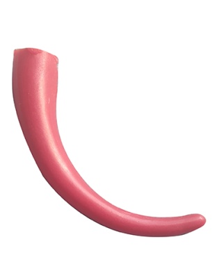 Big Horn