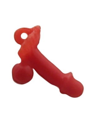 Penis