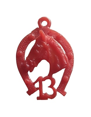 Horseshoe with 13