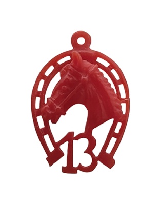 Horseshoe with Horse Head and 13