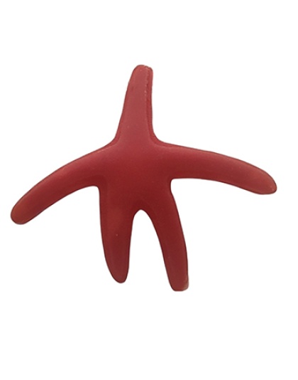 Estrela do Mar