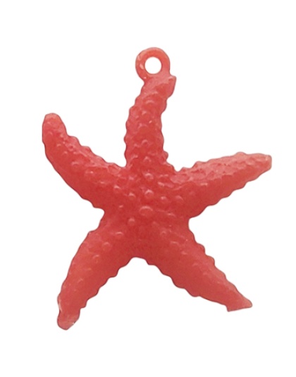 Estrela do Mar