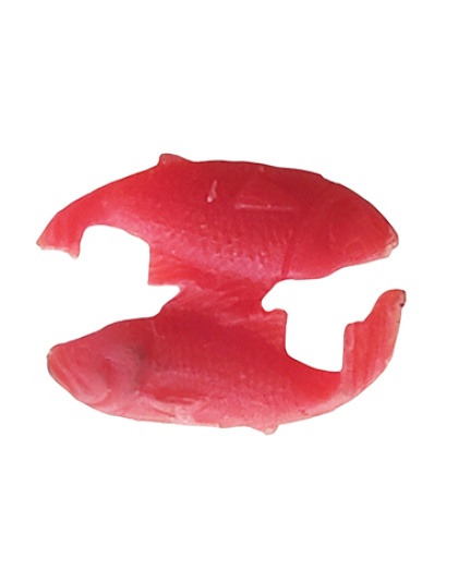Peixes