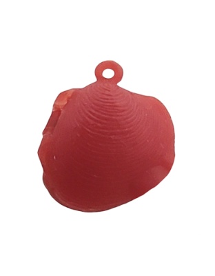 Shell